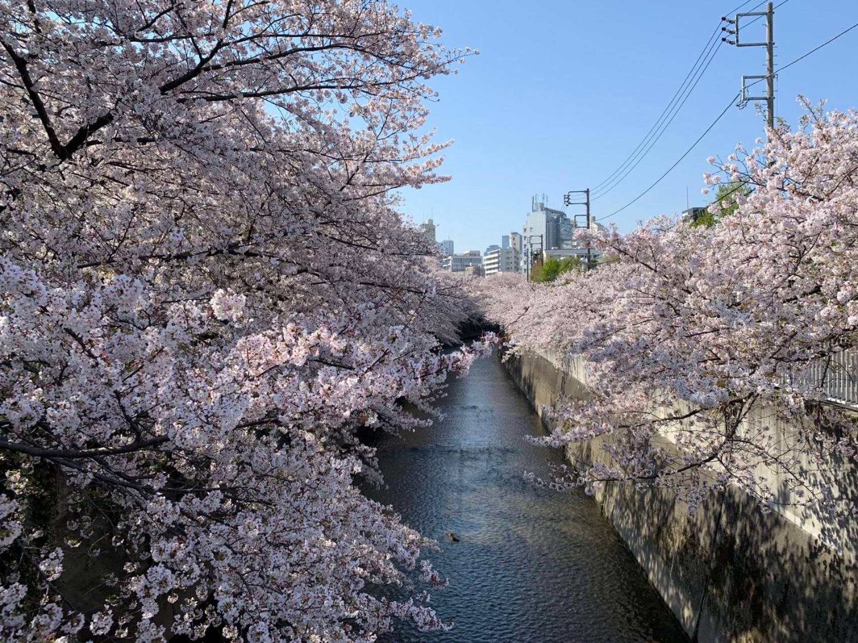 Rosenheim Tokyo Shinjuku — Photos 1